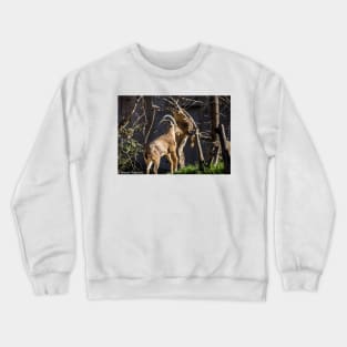 Clash Crewneck Sweatshirt